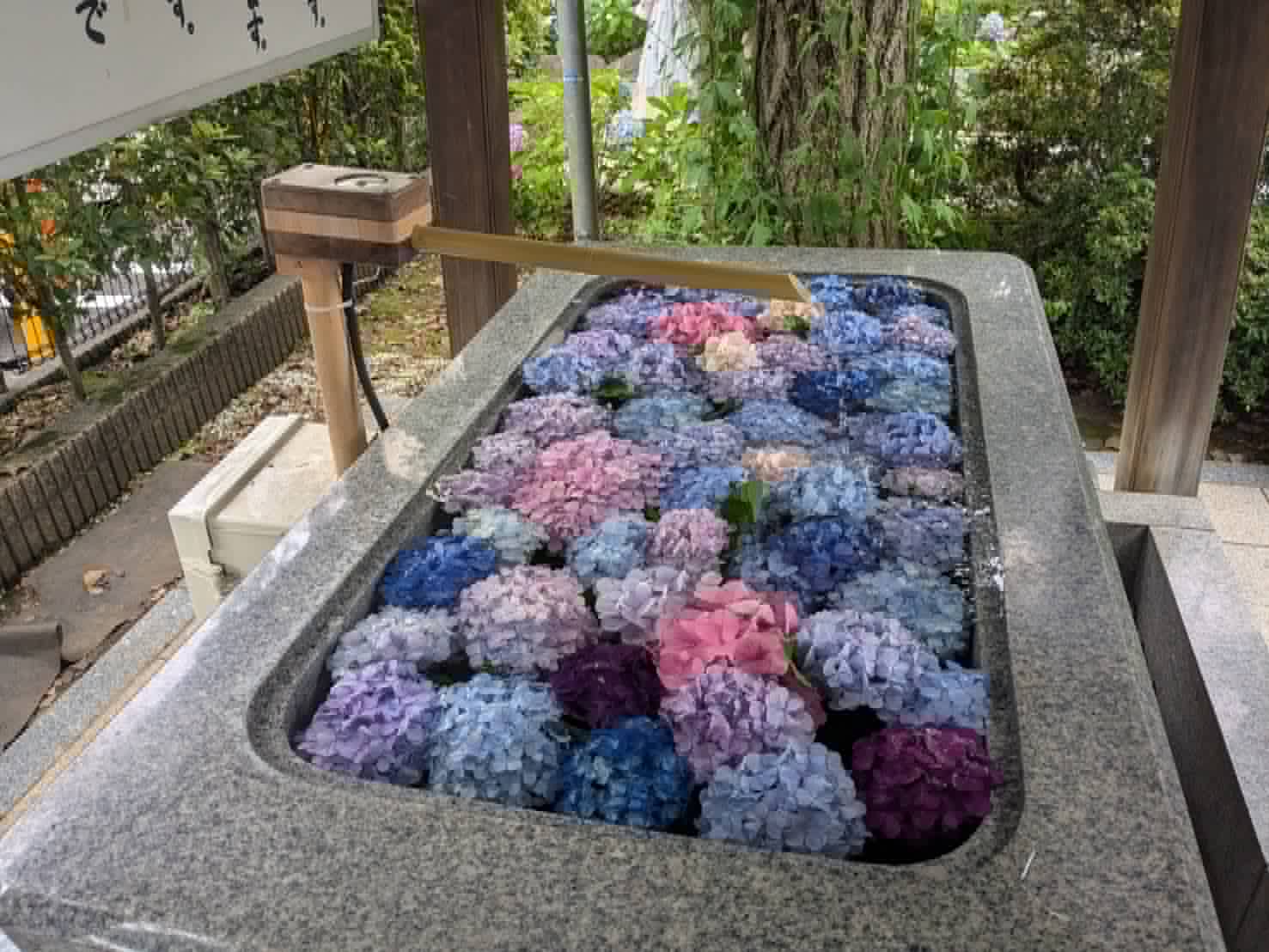 Ozone water generation system installed at a shrine water basin